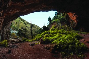 BOLOGNETTA GROTTA S NICOLA FABIO CORSELLI